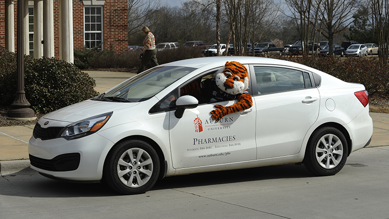 Aubie in delivery car