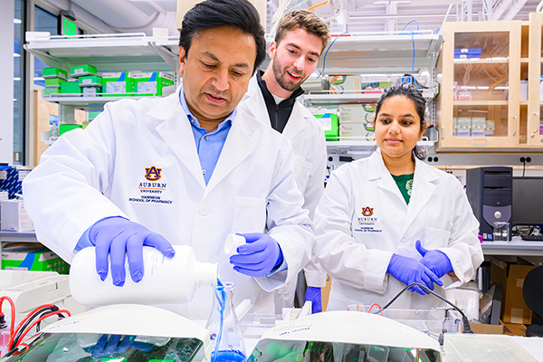 Faculty member and two students work in lab
